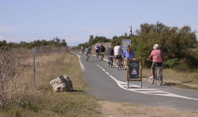 pistes cyclable à l'île de ré