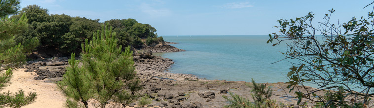 Activités et visites en charente maritime sur l'île de ré