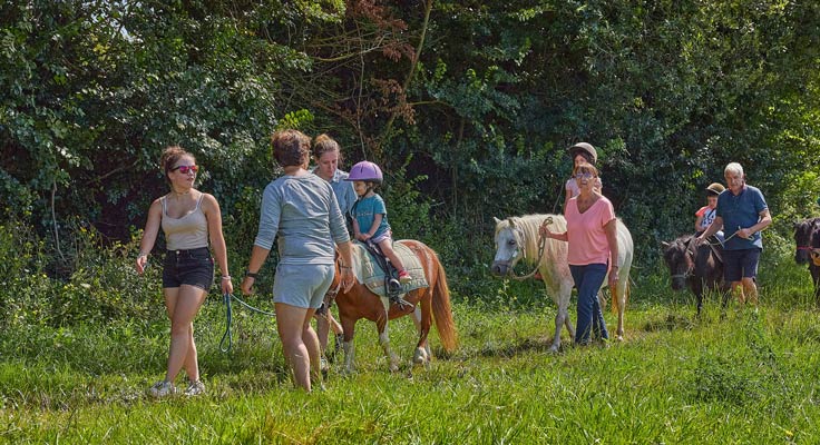 camping 5 étoiles sur l'île de ré et balade à cheval