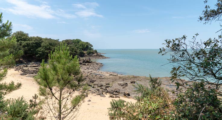 camping proche des plages de l'île d'aix en Charente maritime