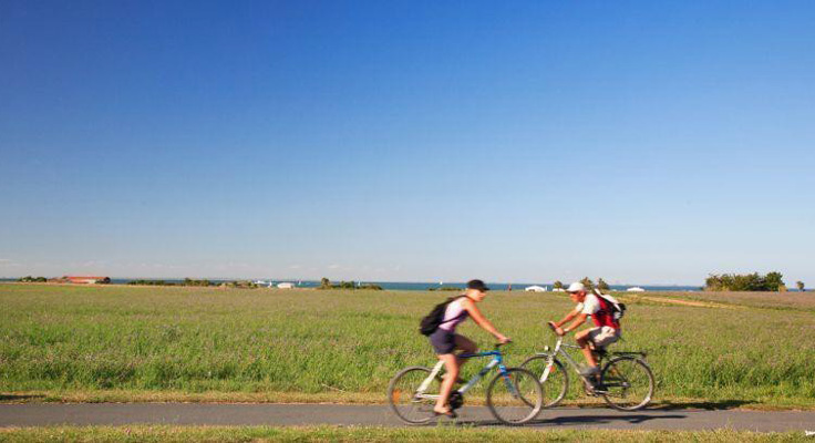 balade à vélo la couarde sur mer sur l'île de ré