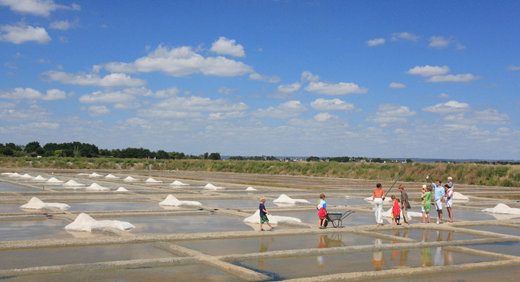 Découverte des marais salants sur l'Île de Ré deouis le camping la Grainetière