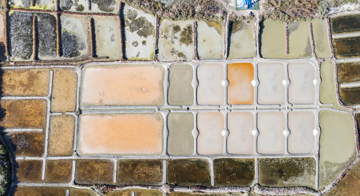 marais salants vus du haut île de ré