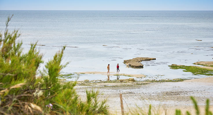 Camping 5 étoiles proche de la plage sur l'Île de Ré