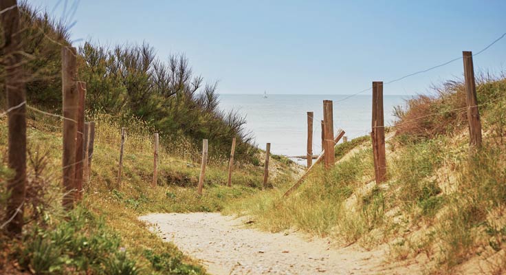 Camping 5 étoiles proche du Bois Plage en Ré en Charente Maritime