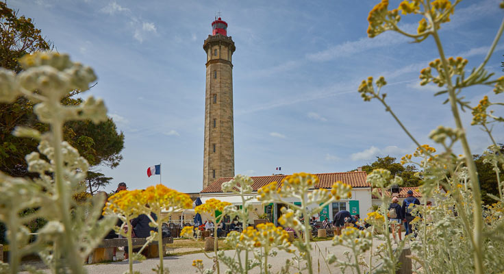 camping proche du phare des baleines sur l'île de ré