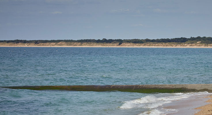 camping la grainetière proche des plages de la couarde sur mer sur l'île de ré