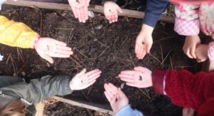 potager